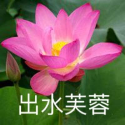 危机施工现场手机游戏下载